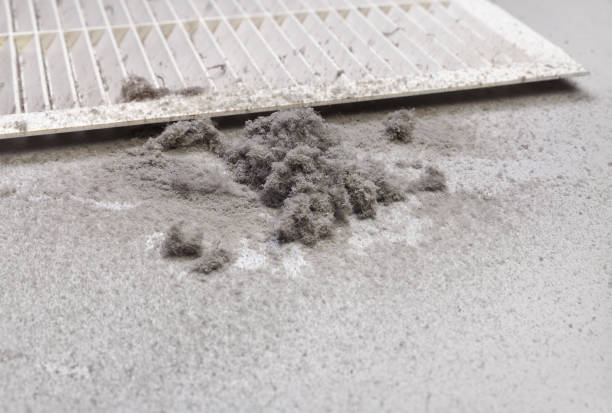 Best HVAC System Cleaning  in Maytown, PA